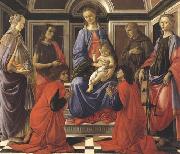 Madonna enthroned with Child and Saints (Mary Magdalene,John the Baptist,Cosmas and Damien,Sts Francis and Catherine of Alexandria)